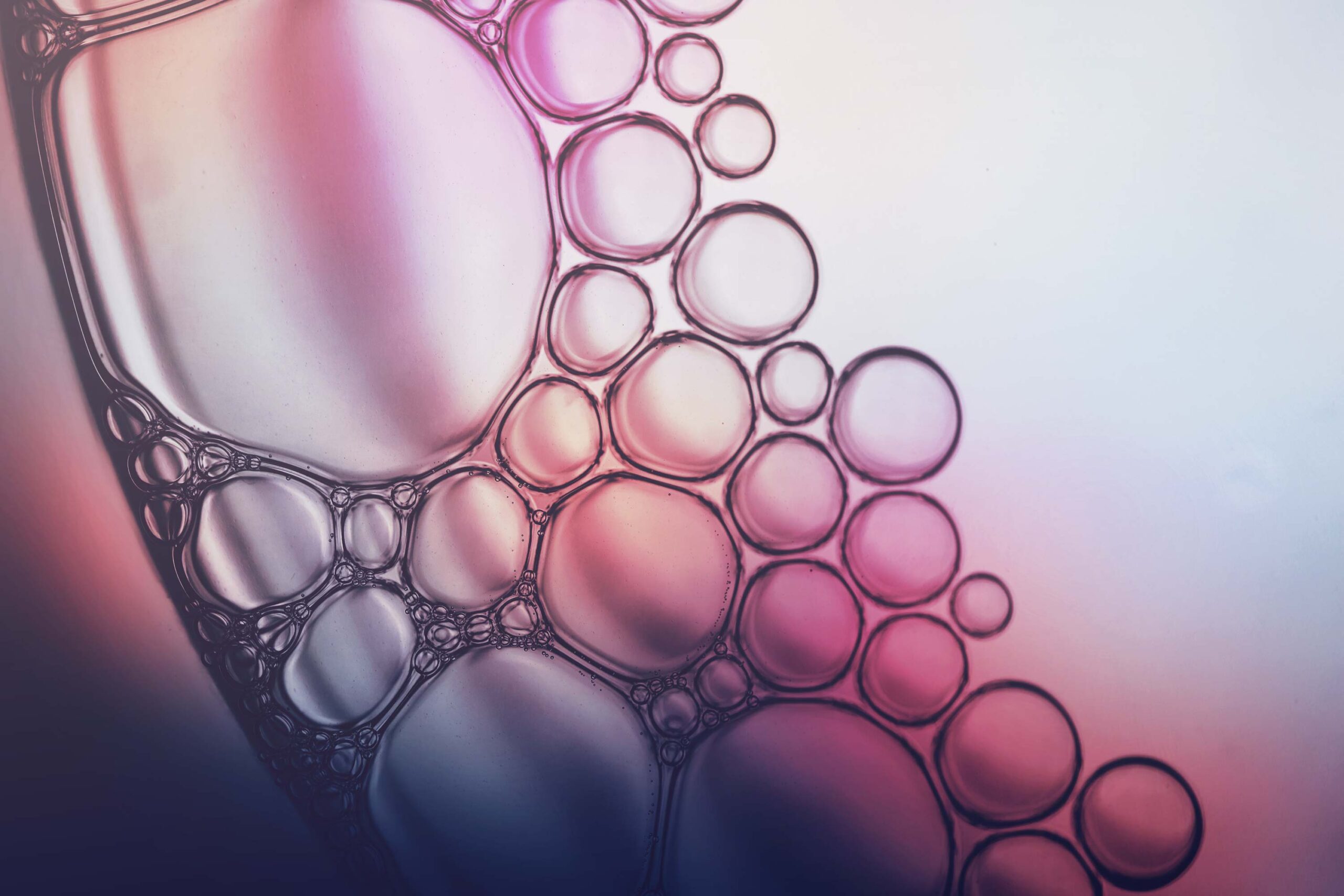 aeci-chemicals-specialty