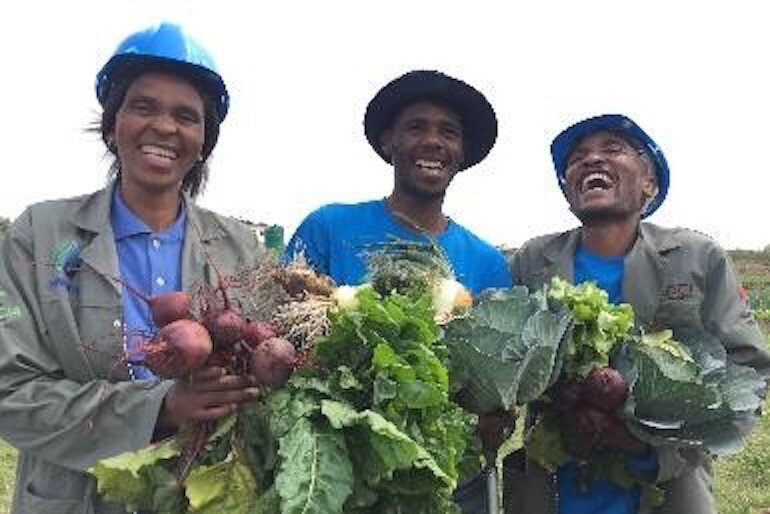 commercial+food+garden+WWWC